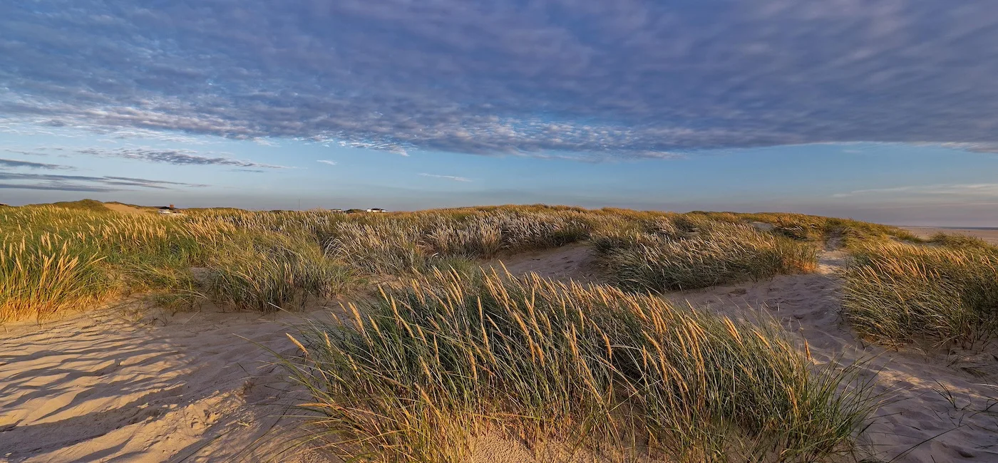 Klitterne i let overskyet vejr